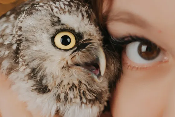 Casino AllStar Slots Tugi